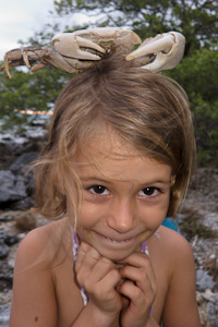 crabe sur lola