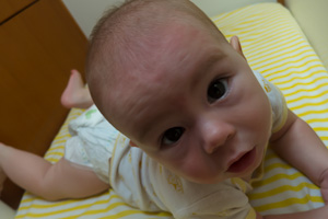 mael