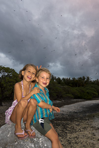motu aux oiseaux